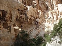 20090424 aufil eau (70)